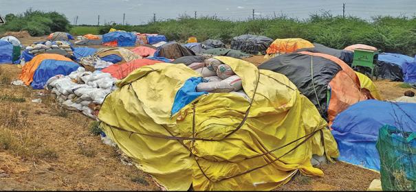 கடலூர் மாவட்டத்தில் பொது முடக்கத்தால் நெல் கொள்முதல் நிறுத்தம்: திட்டக்குடி பகுதி விவசாயிகள் கவலை