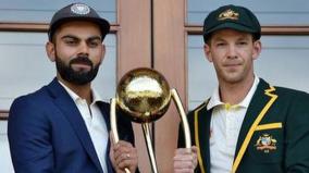 virat-kohli-is-best-batsman-in-world-tim-paine