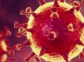 1-702-persons-tested-positive-for-corona-virus-in-puducherry-today