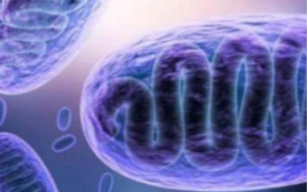 கோவை அரசு மருத்துவமனையில் கருப்பு பூஞ்சை தொற்று அறிகுறியுடன் 11 பேருக்கு சிகிச்சை