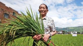 china-s-hybrid-rice-father-and-india