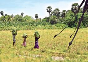 farmers-of-thoothukudi-district