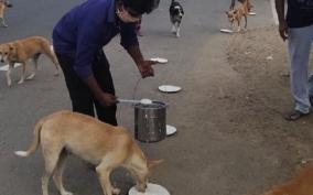 corona-curfew-madurai-corporation-helps-to-feed-stray-dogs