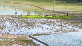kanyakumari-agriculture-irrigation