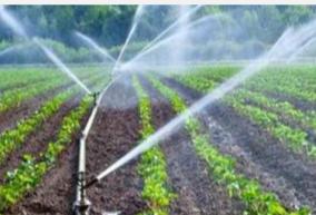 government-subsidy-for-micro-irrigation-facility-coimbatore-farmers-can-apply