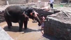 thiruvanaikaval-temple-exclusive-bathtub-for-elephant