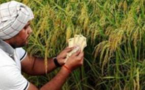 madurai-hc-bench-on-farmers-loan-at-nationalised-bank