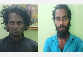 two-arrested-for-planting-ganja