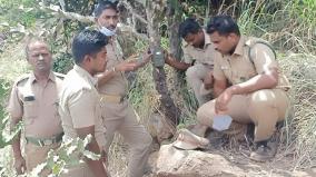 theni-forest-officials-are-in-search-of-leopard