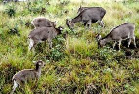 tamilnadu-forest-beauty