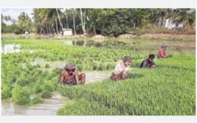 kallanai-canal