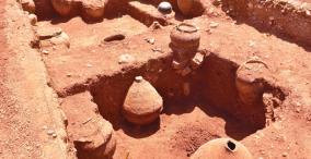 sivakalai-excavation