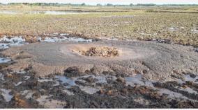 ongc-crude-oil-pipeline-rupture-near-mannargudi-direct-paddy-spraying-destroys-fields-due-to-oil-spill