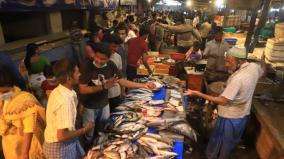 vellore-fish-market-opening-after-long-days-fish-lovers-gathered-without-a-break