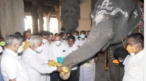 order-to-hold-herbal-balm-preservation-ceremony-for-nellaiyappar