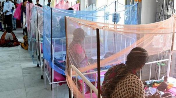 கடந்த 6 மாதத்தில் 2,090 பேருக்கு பாதிப்பு- டெங்கு காய்ச்சல் பாதிப்பில் தமிழகம் முதலிடம்