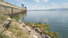 flood-alert-in-vaigai-dam