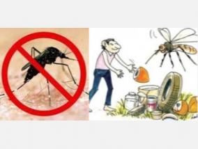 can-dengue-breeding-mosquitoes-be-raised-dengue-is-actively-spreading-in-tamil-nadu