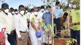 nut-planting-work-of-5-lakh-saplings-in-dindigul-district-minister-a-chakrabarty-has-started