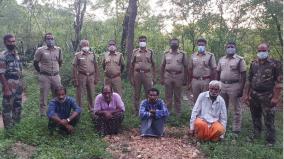 4-fined-rs-40-000-for-attempting-to-cut-sandalwood-near-coimbatore