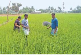 transform-the-youth-into-employers-rather-than-employers-agricultural-entrepreneurship-program-announcement