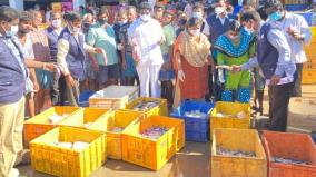 350-kg-of-formalin-fish-seized-from-trichy-fish-market-people-are-shocked