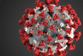 96-persons-tested-positive-for-corona-virus-in-puducherry-today