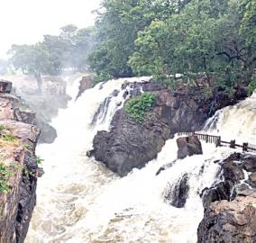 mettur-dam-water-level