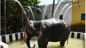 bathtub-with-shower-for-hill-fort-temple-elephant-lakshmi