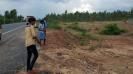 ariyalur-youths-throwing-seed-balls-on-national-highways