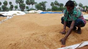 online-registration-for-paddy-purchasing
