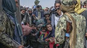 it-s-your-country-taliban-stops-at-border-afghans-trying-to-flee-to-pak