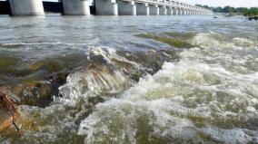 five-committees-set-up-to-monitor-pollution-in-cauvery