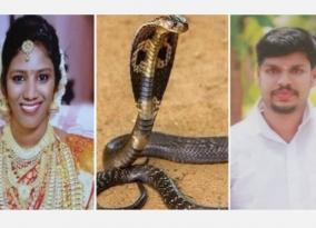 uthra-murder-case-kerala-man-who-killed-wife-using-cobra-awarded-life-imprisonment