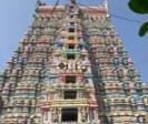 temples-will-be-opened-in-weekends