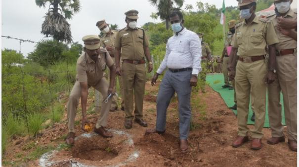police-lose-5-000-palm-seeds-in-five-hours-planted-in-the-distance