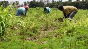 meetings-to-explain-achievement-to-farmers