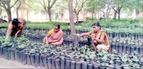 21000-saplings-per-year-in-pudhur