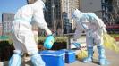 china-s-covid-19-outbreak-grows-as-cities-race-to-trace-i
