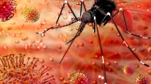 zika-virus-disease