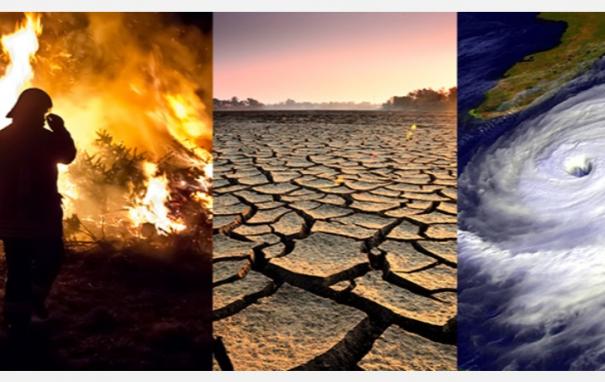 climate-change-india-lost-87bn-due-to-natural-disasters-last-year-says-wmo