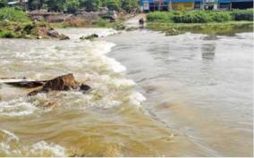 flood-in-vaigai-river