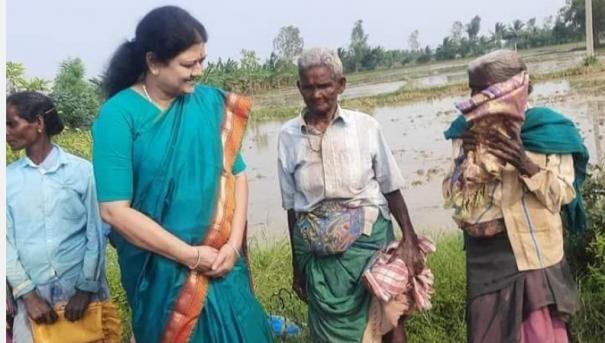 sasikala-visited-women-who-had-planted-paddy-near-thanjavur-and-inquired-about-their-health