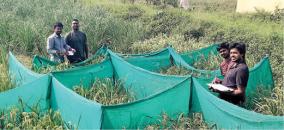 conservation-of-160-varieties-of-traditional-paddy-seeds