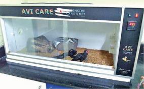 specialized-hospital-for-the-treatment-of-birds