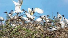 is-vagaikulam-recognized-as-a-symbol-of-biodiversity