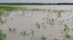 600-acres-of-crops-were-submerged