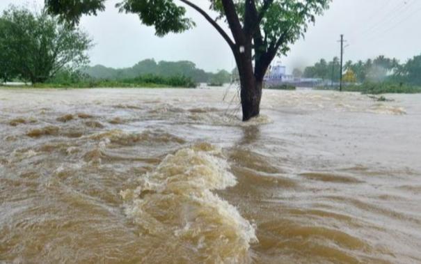 rivers-flood-in-various-districts-of-tamil-nadu-heavy-rains-will-continue