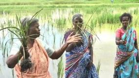 heavy-rain-in-puducherry