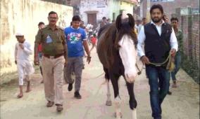 police-recover-stolen-congress-leader-horse-within-24-hours